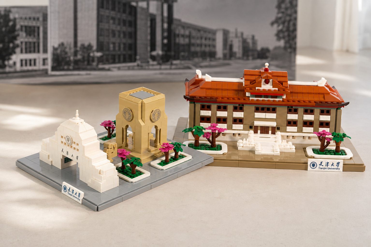 Two Tianjin University 130th anniversary campus landmark building sets